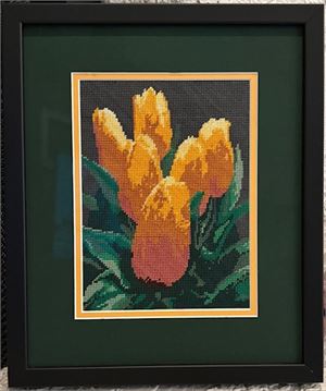 Photograph of product.